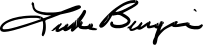Luke Burgis signature